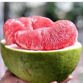 

Jeruk Bali Merah Per Biji / Jeruk Pamelo 1.5 Kg Free Ongkir