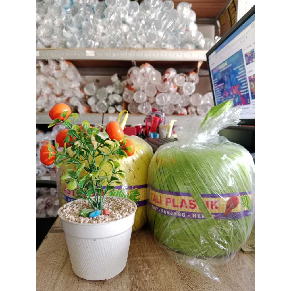 

Tali Rafia Plastik Pluit Warna Kiloan Ikat Rumput Jepang Hijau Kuning Biru Merah 1000G Kemasan Besar