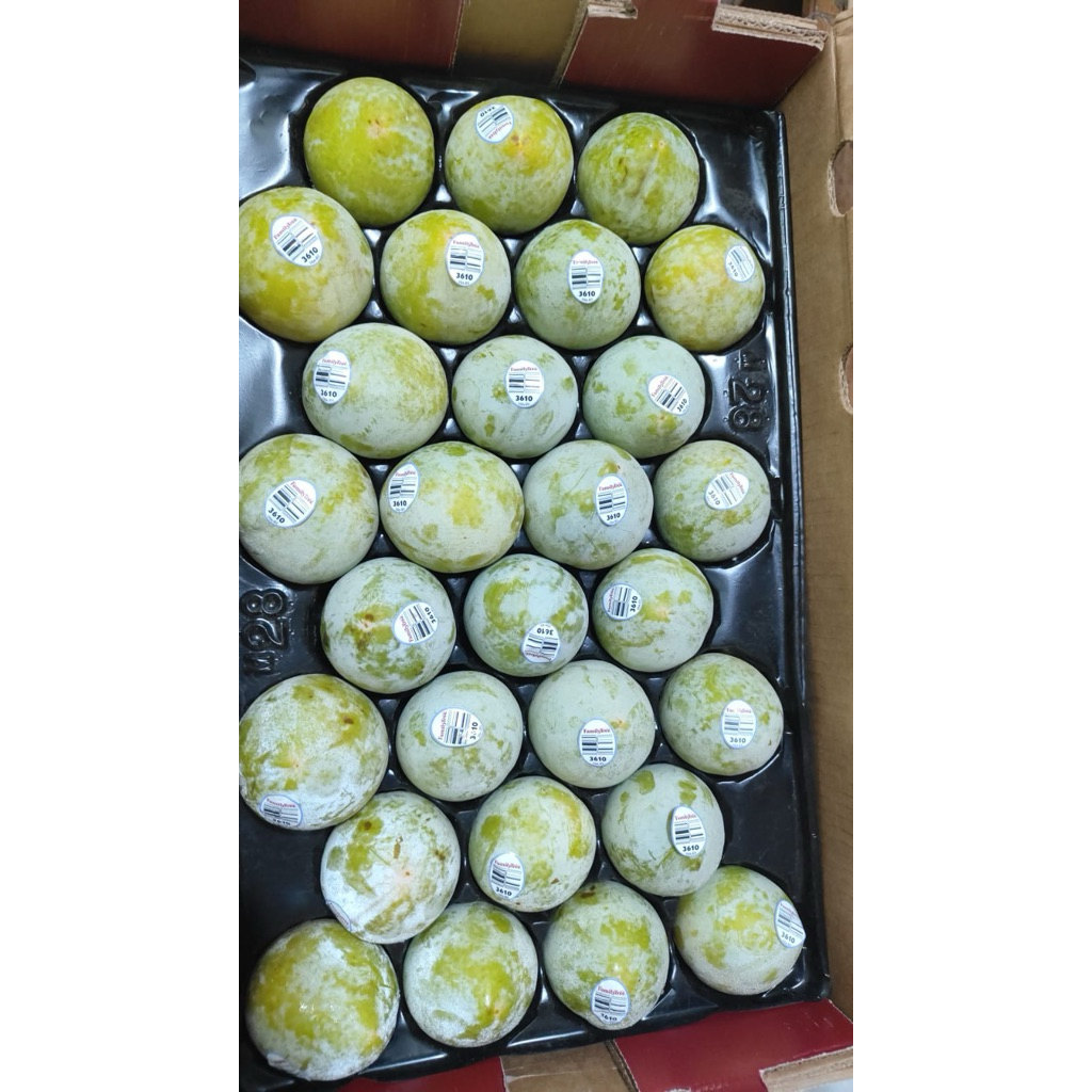 

Plum Green Import Fresh | Plum green Family Tree 500grm