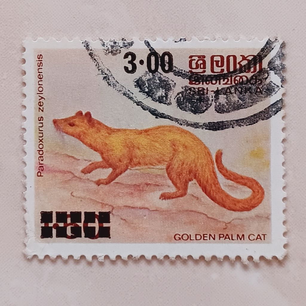 

(AA) Perangko Sri Lanka 1981 Native Animals - Golden Palm Cat (Paradoxurus zeylonensis) 3 rupee Cetak Tindih Used