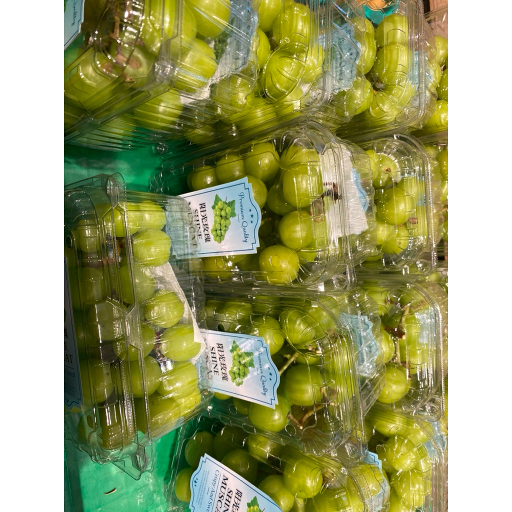 

Anggur Hijau Shine Muscrat Manis