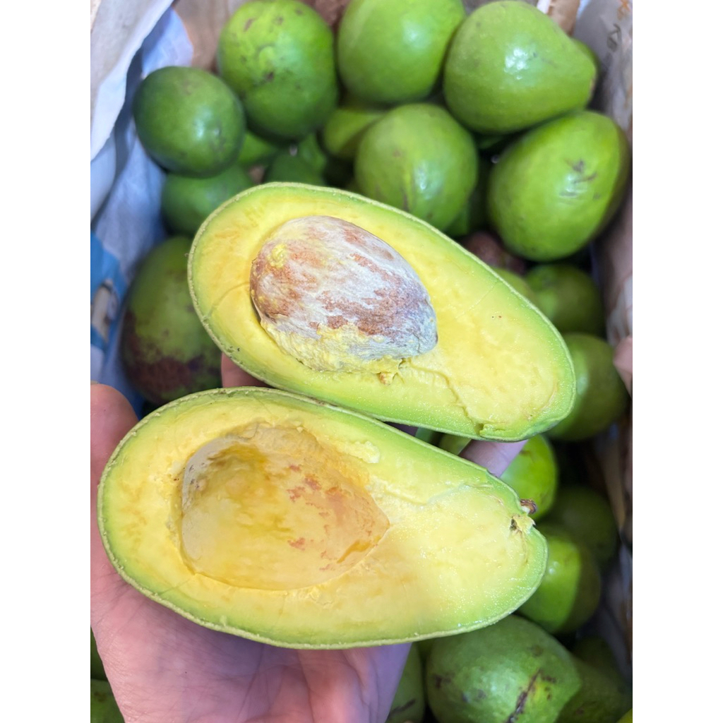 

AlpukatMentegaKualitas AA