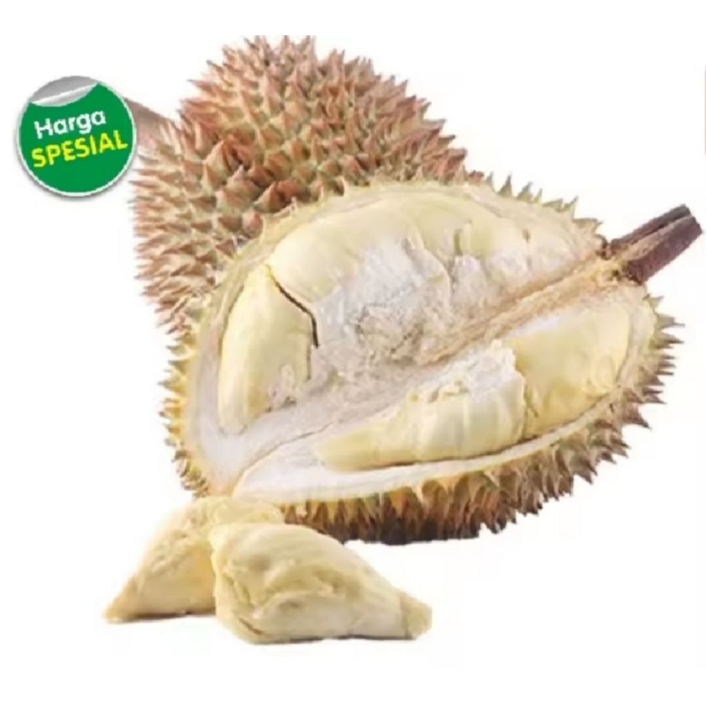 

DURIAN LOKAL siap kirim gaspol