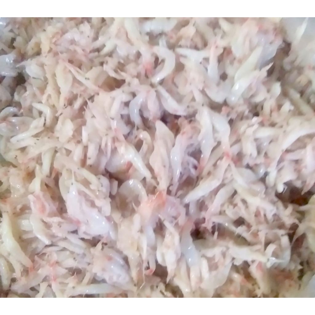 

Pedak Udang--Hakoi-Hekoi-Cincalok Udang Original Pontianak 1kg