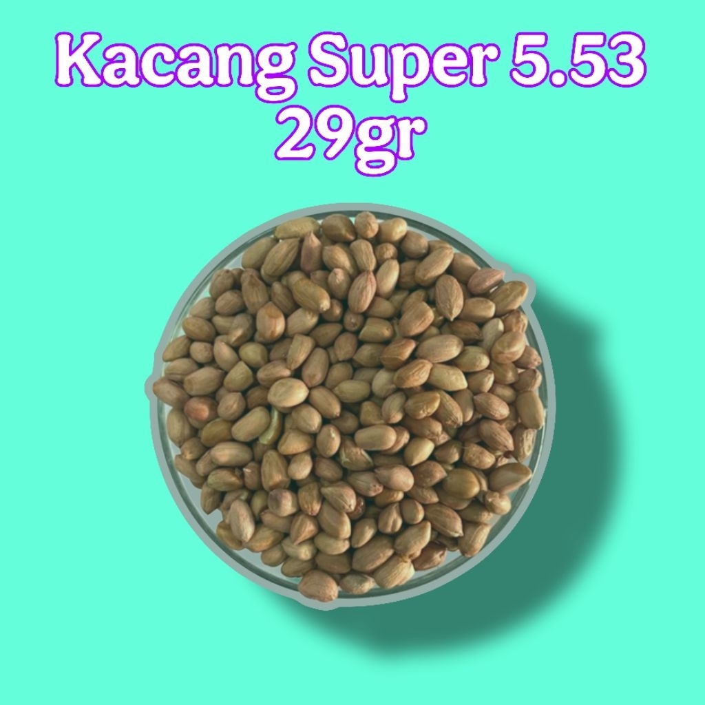 

kacang super 5.5 slvg 29gr 100pcs