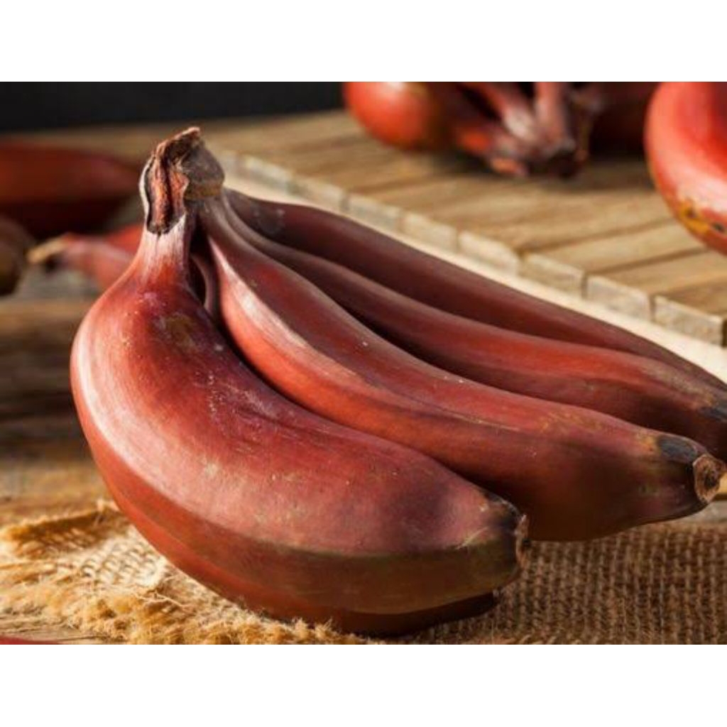 

pisang merah - pisang gendis per 1 kg