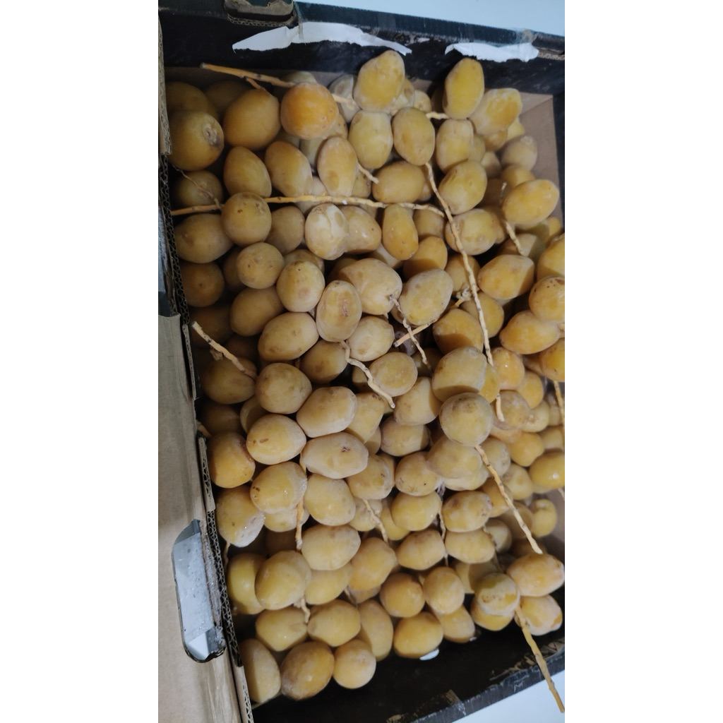 

Kurma Muda 250gr