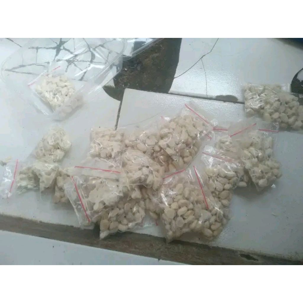 

biji jarak fermentasi