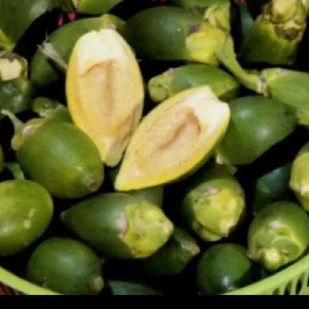 

buah pinang muda fresh segar 1kg/jambe muda fresh stamina herbal