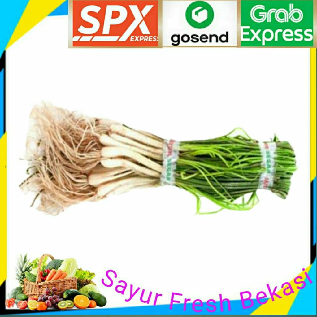 

Bawang Batak 2 ikat.