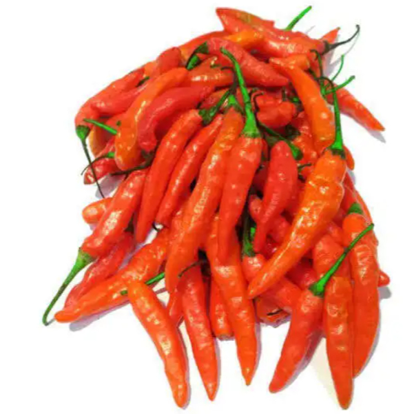 

Cabai Rawit Merah Fresh – Harga Murah 100g | Sayur Segar Masak