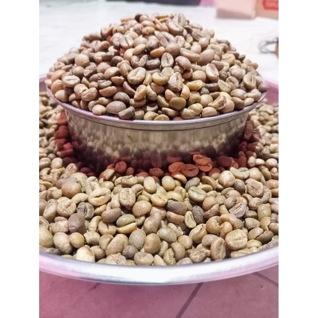 

GREEN BEAN BIJI KOPI ROBUSTA 1KG ORIGINAL LAMPUNG ASALAN