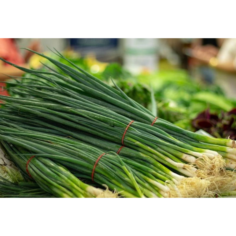 

Daun Bawang Hijau Segar – Fresh | Praktis Masak Harian Murah