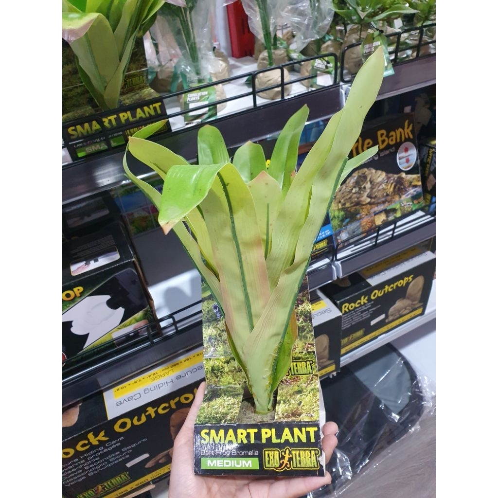Smart Plant Dart Frog Bromelia Exo Terra Medium