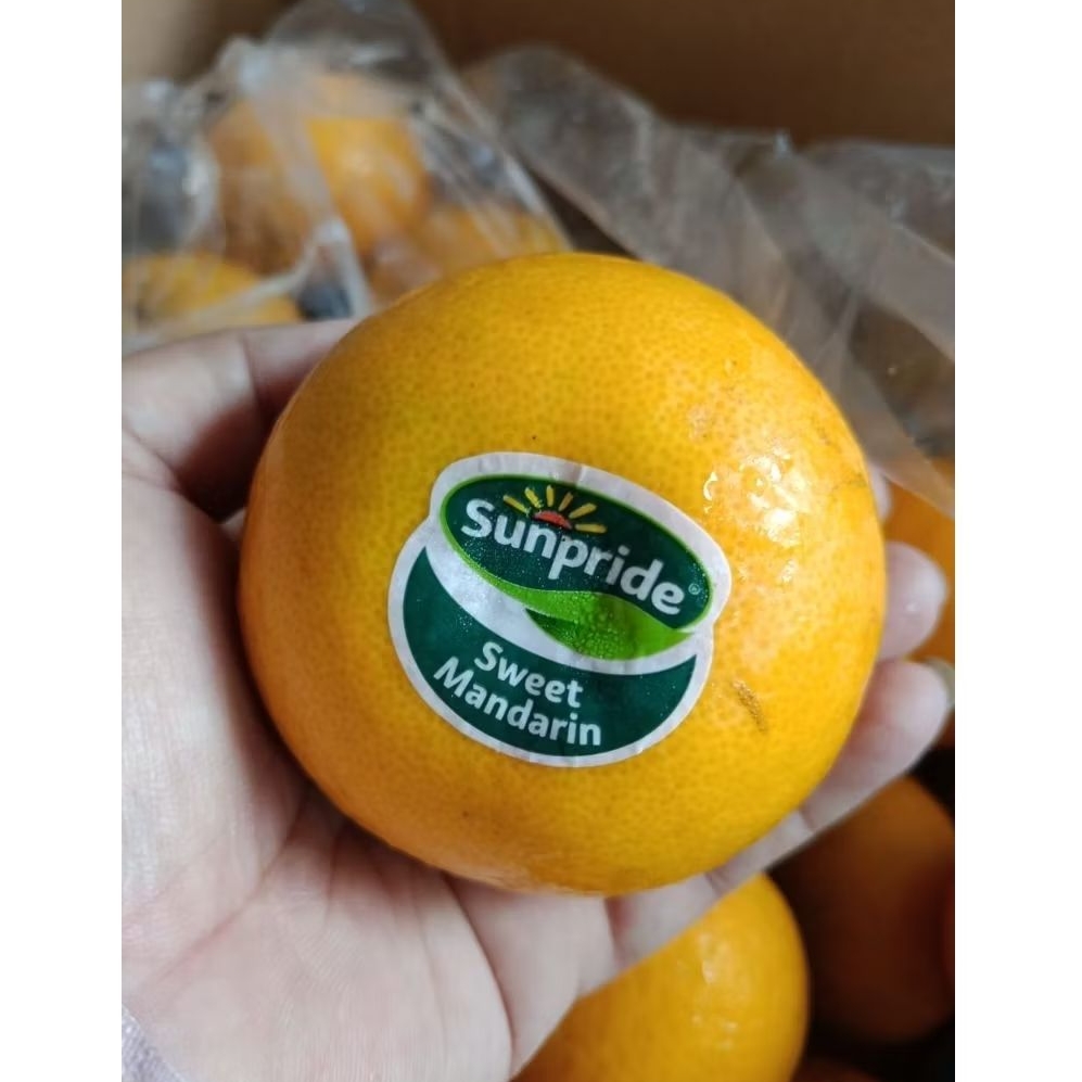 

Jeruk Sweet Mandarin Sunpride