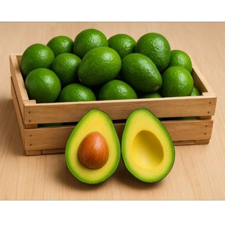 

Alpukat Mentega Organik 1kg