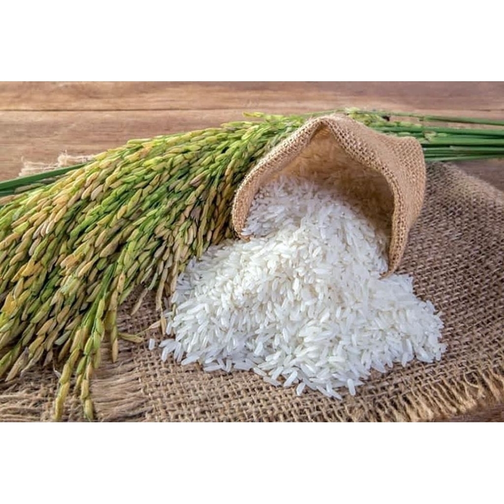 

Beras Menir Polos 1KG PETANI