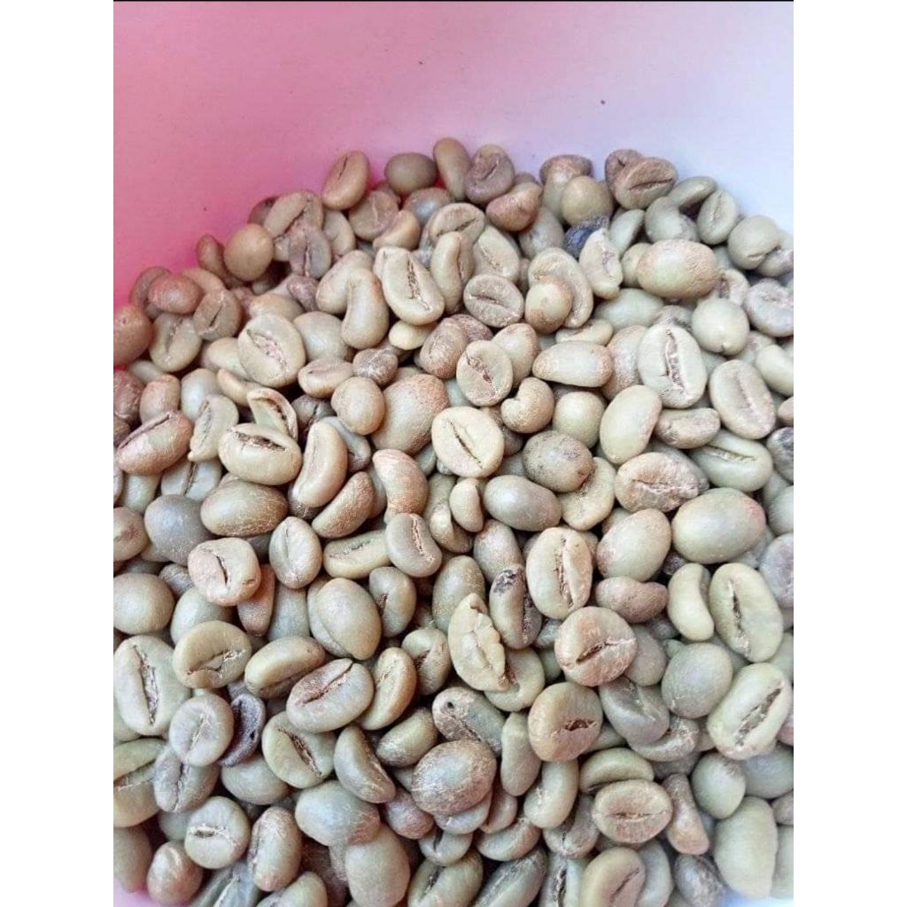 

Kopi Robusta Ampelgading