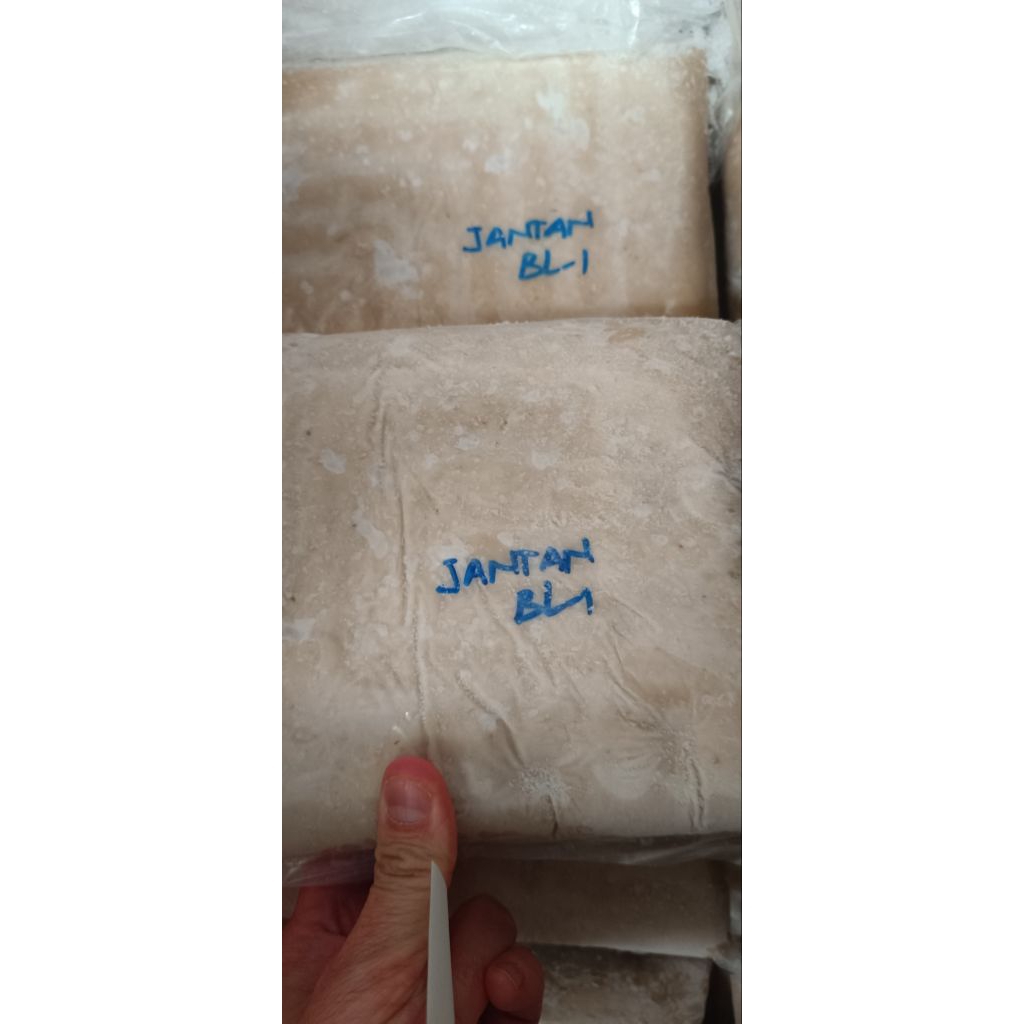 

Ikan Tenggiri Giling Premium Segar Frozen