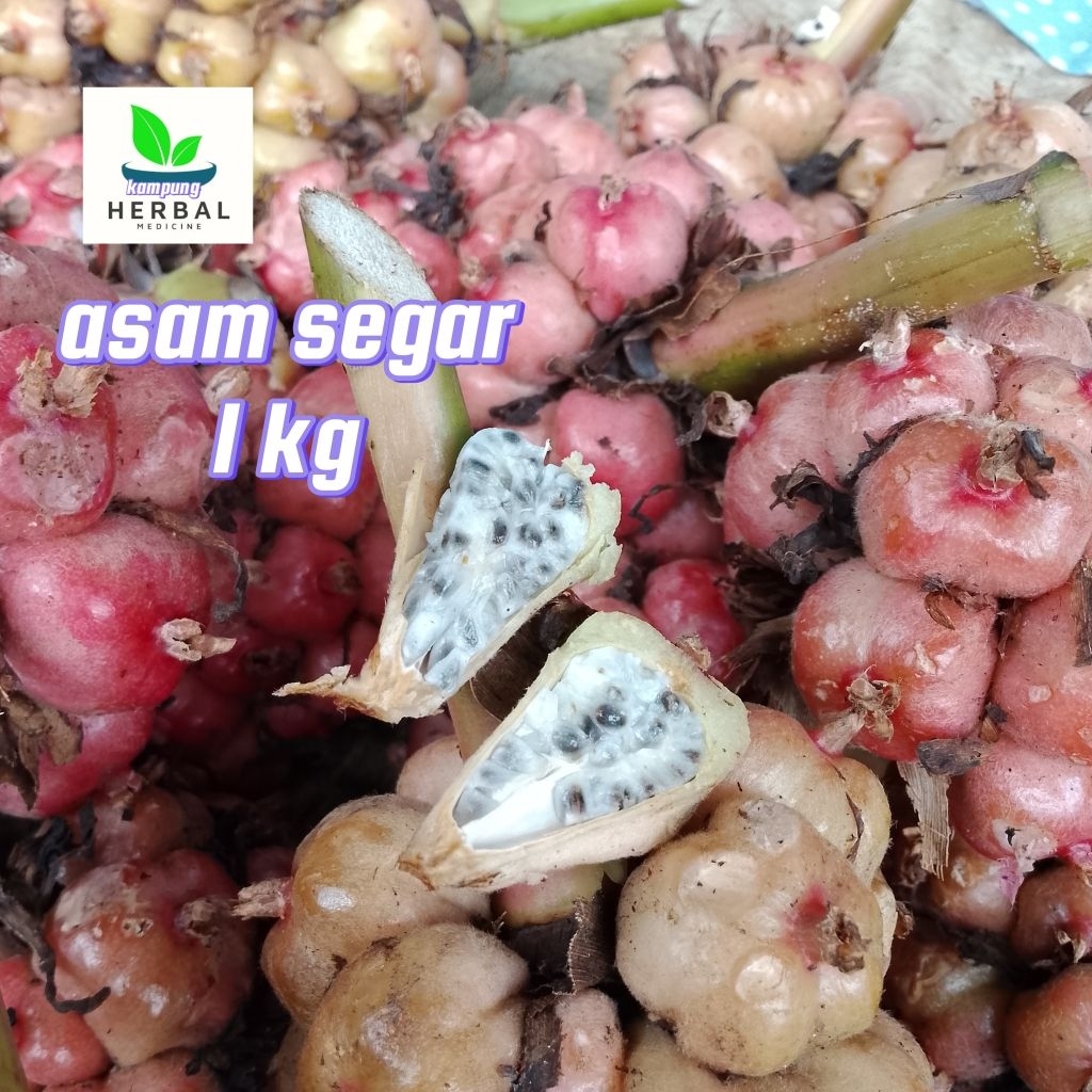 

buah honje pink 1kg bikin rujak