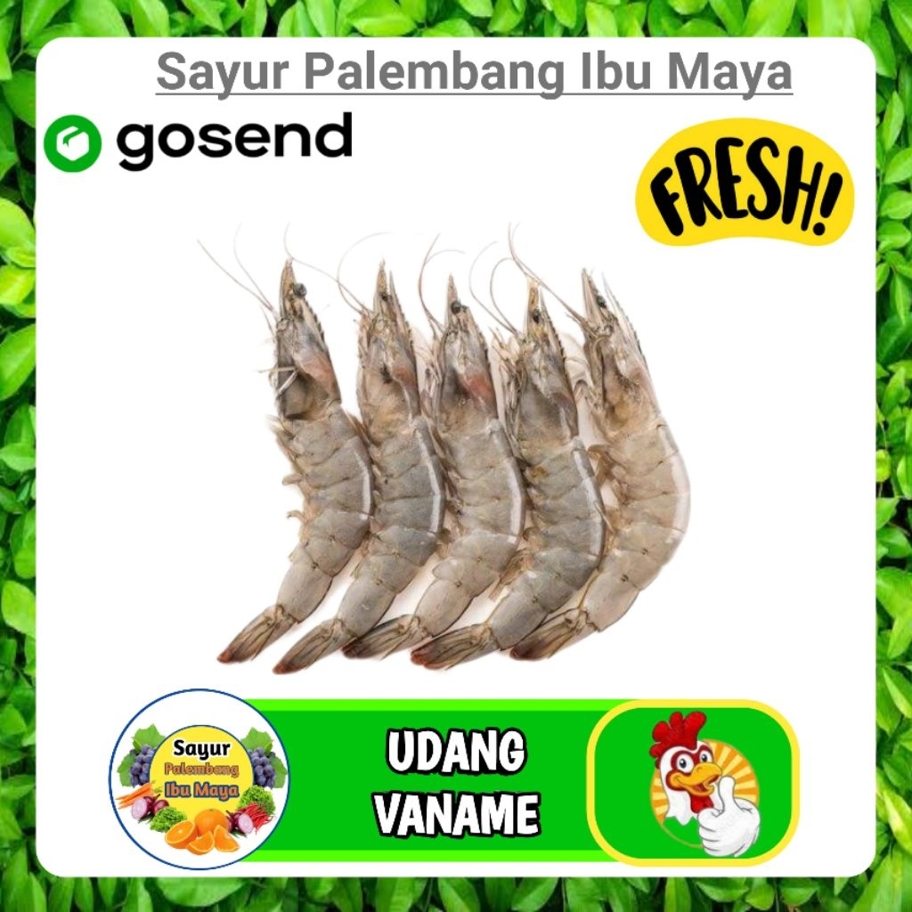 

Udang Vaname Segar Seafood Fresh Online - Sayur Palembang