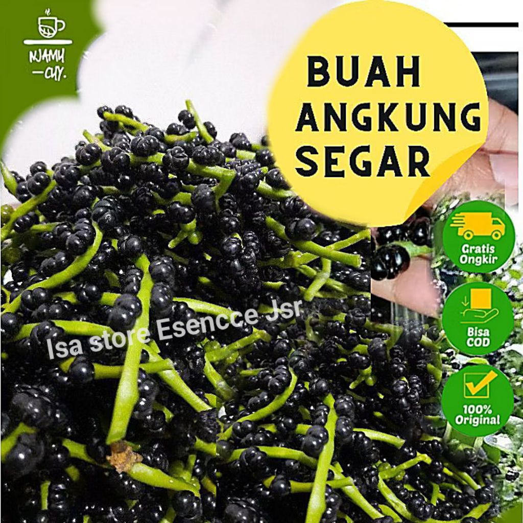 

200 Biji Buah Angkung Segar Obat Stroke + 50 Biji Segar Langsung Petik