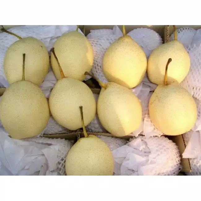 

Buah Pir Per kg