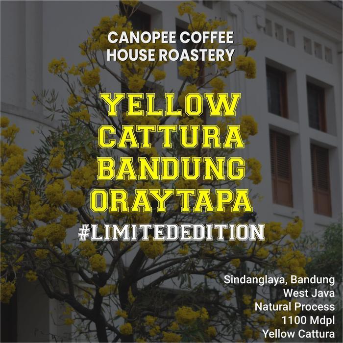 

Arabika "YELLOW CATTURA Bandung Oraytapa" - Limited Edition Series