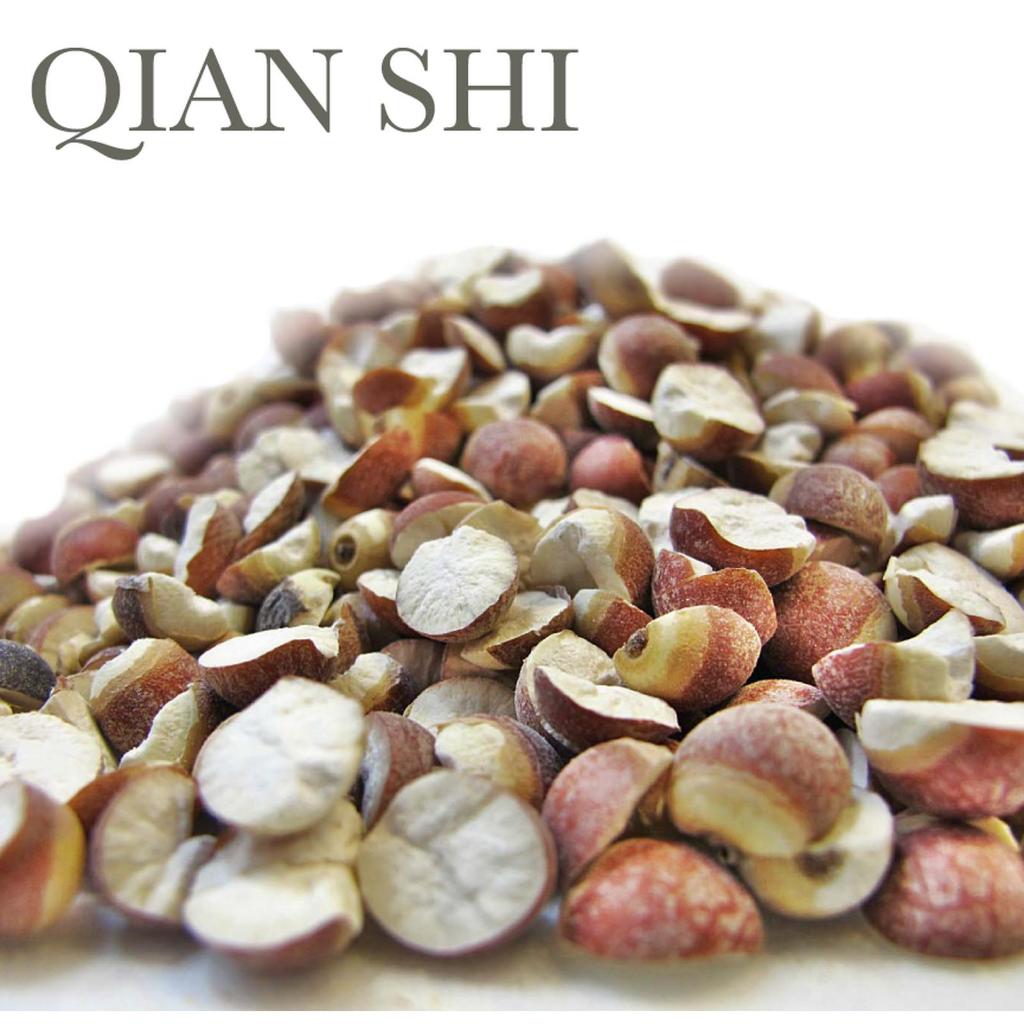 

Kiam Sik Qian Shi (Euryale Seed) - Pencernaan