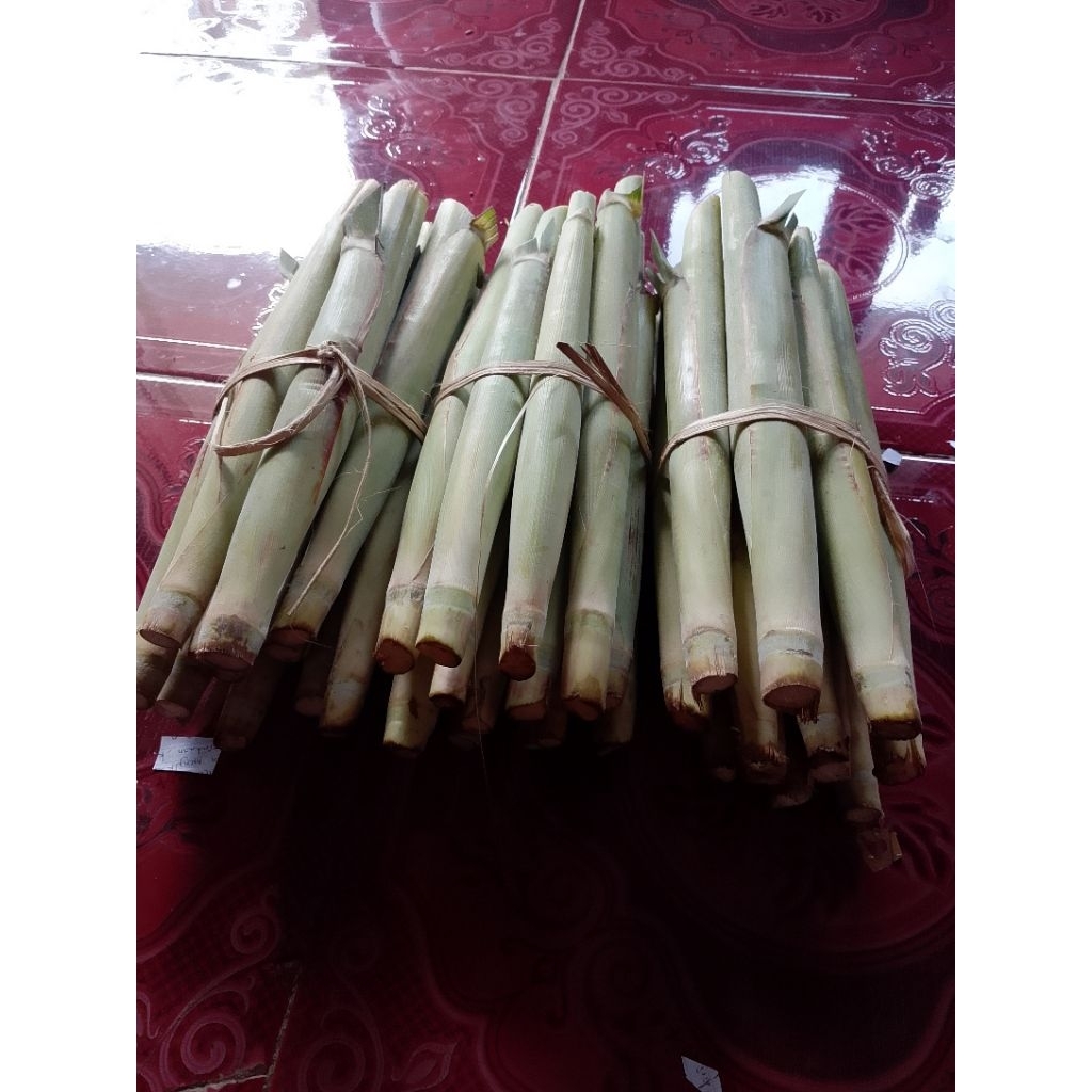 

sayur tebu /sayur turubus telor satu ikat