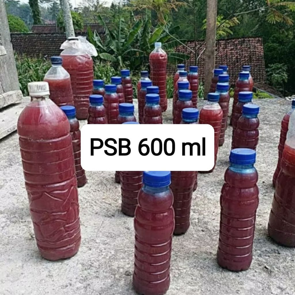 PSB Bakteri fotosintesis 600 ml