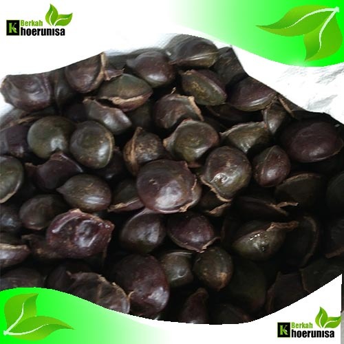 

Buah Jengkol kepek Super Segar 1 kg Belum dikupas