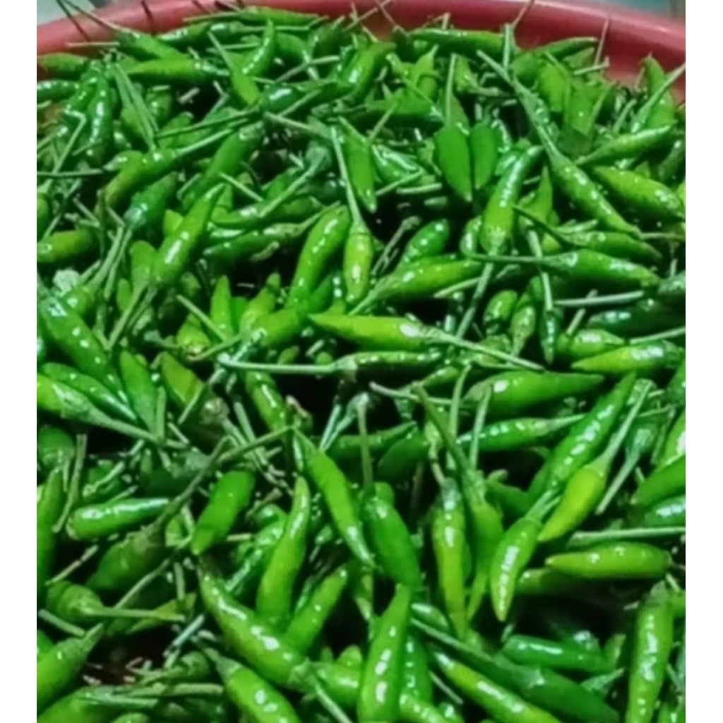 

Cabe Rawit Ijo Cabai Hijau Kecil 1 kg