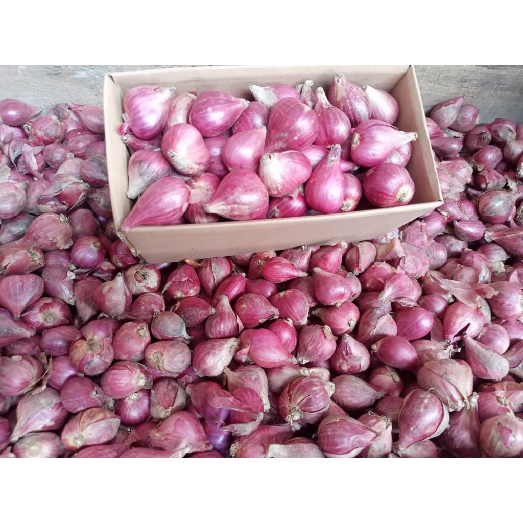 

Bawang merah berebes asli ukuran besar 1kg