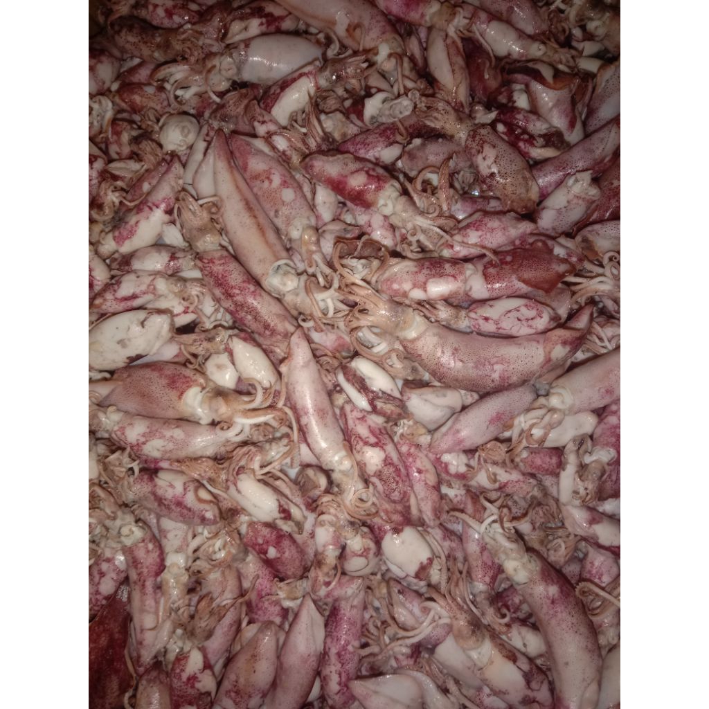 

Ikan Asin cumi sontong rebus