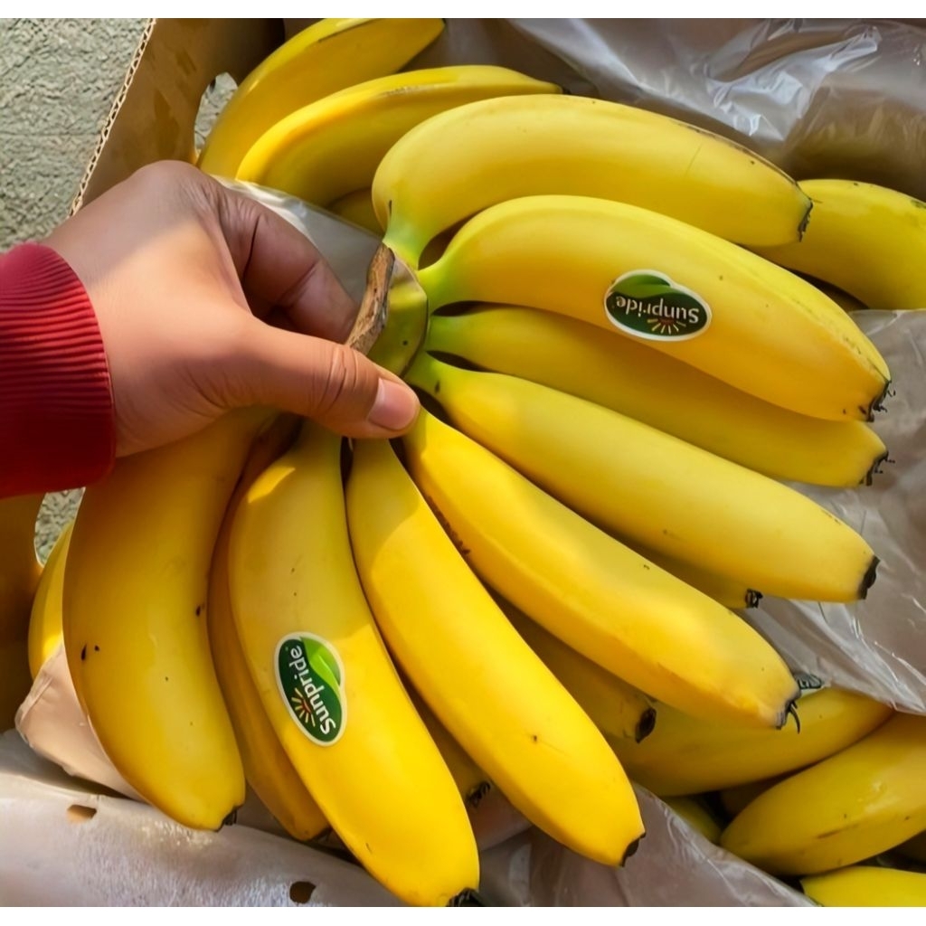 

Pisang Cavendish 1 Sisir Termurah