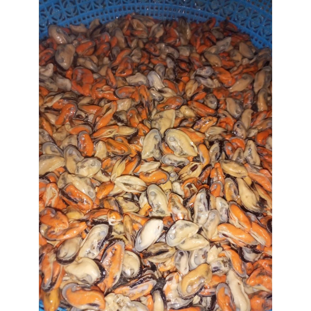 

Kerang Rebus Tanpa Kulit