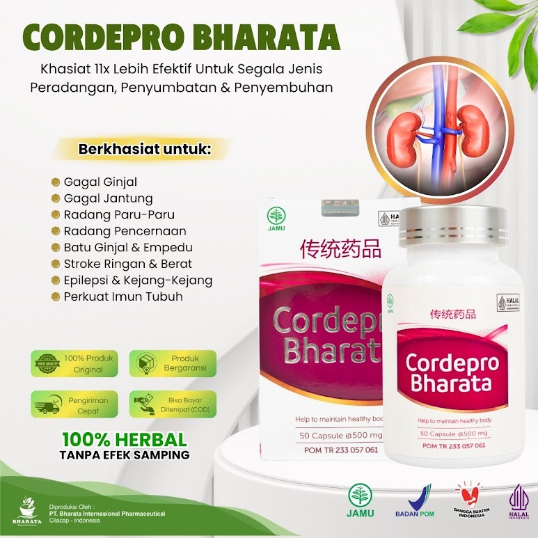 CORDEPRO BHARATA - Obat Batu Ginjal - Obat Gagal Ginjal - Radang Paru Paru