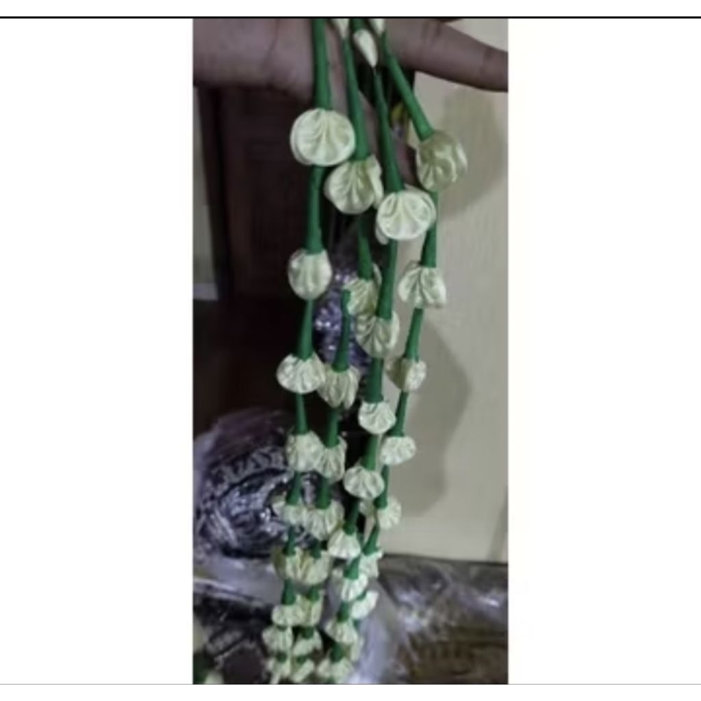 Melati Jurai/ Melati Palsu/ Melati juntai