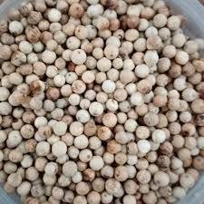 

LADA PUTIH PEDAS MERICA BIJI PUTIH ORIGINAL KUALITAS PREMIUM BUMBU DAPUR BUMBU MASAK REMPAH TOKO SEMBAKO MURAH HOREKA SUPPLIER HOTEL RESTAURAN CAFE CATERING