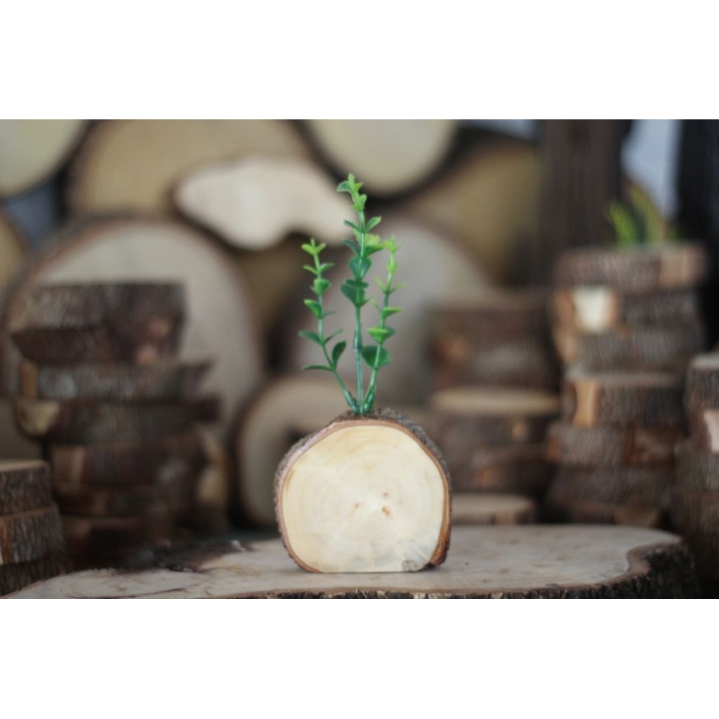 vas pot bunga mini minimalis dari kayu hiasan rumah pajangan rumah