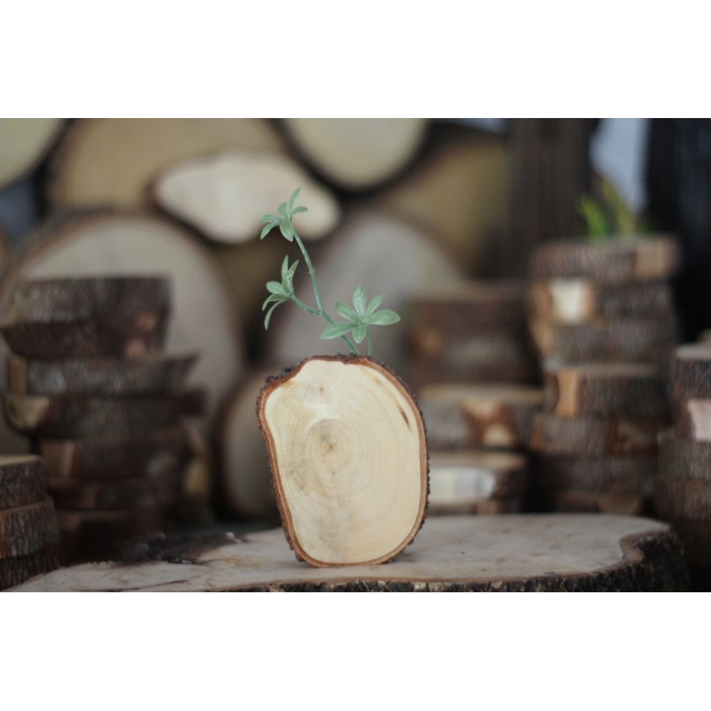 vas pot bunga mini dari kayu asli pajangan ruangan hiasan rumah