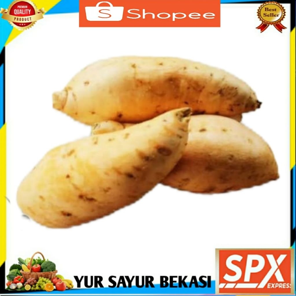 

Ubi Cilembui Besar 1kg (Asli).