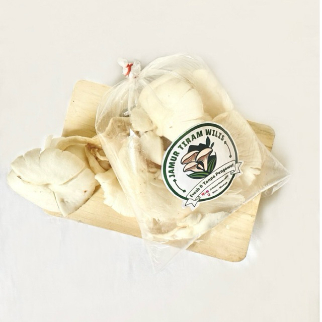 

Jamur Tiram Putih 250 gram murah