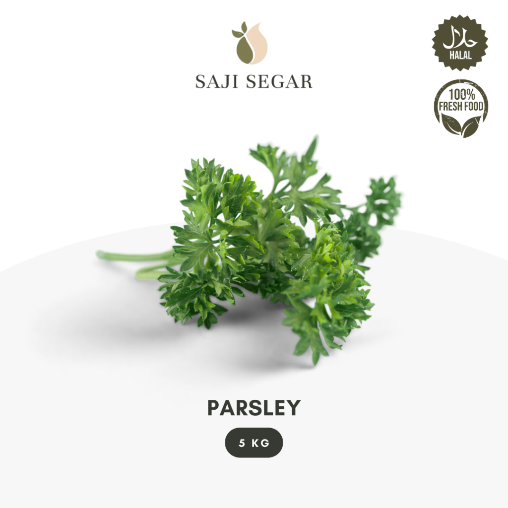 

Saji Segar Parsley / Peterseli Grosir