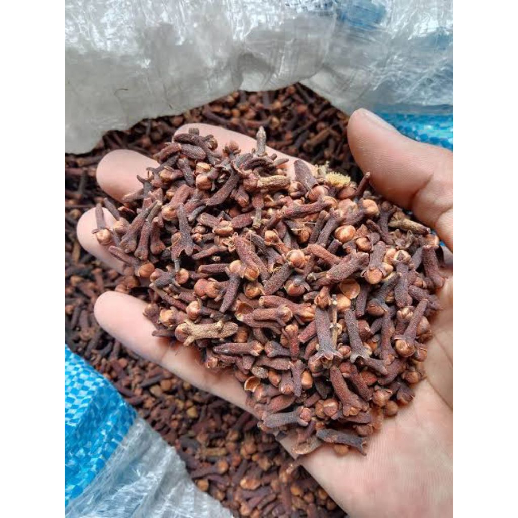 

CENGKEH KERING KEMASAN 15g