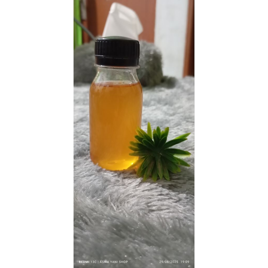 

madu kelulut/madu galo²