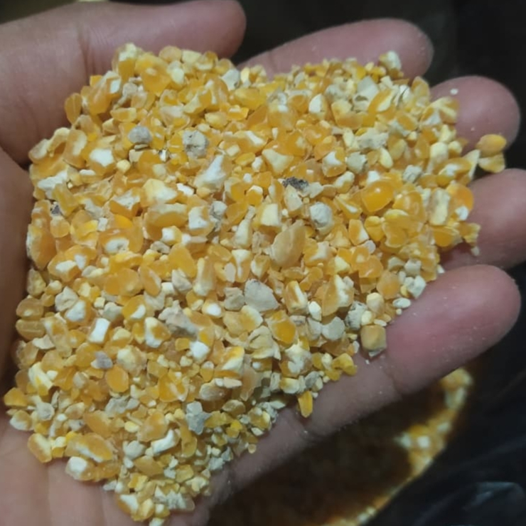 Jagung Giling / Jagung Pecah / Jagung Pakan Ayam 1 kg