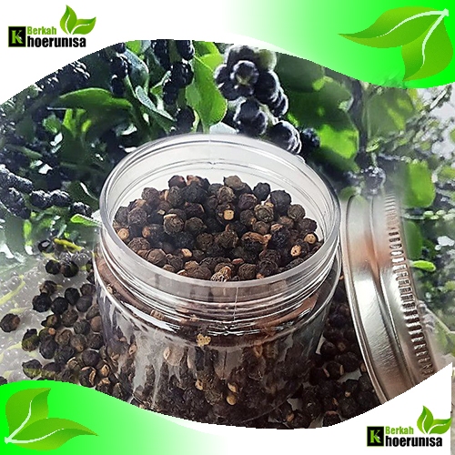 

Buah Angkung Kering100 biji Herbal Alami kering