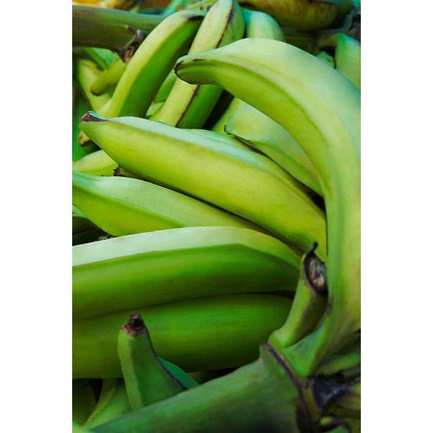 

(1 KG BESAR) Pisang Tanduk Lereng Semeru